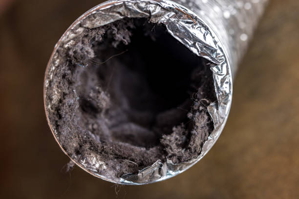 Best Professional Duct Cleaning Services  in Ackerman, MS