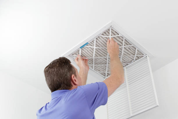 Best Local Air Duct Cleaning Services  in Ackerman, MS
